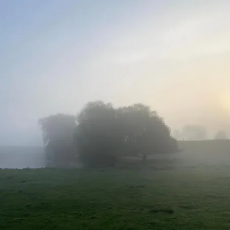 In Paradijselijke Sfeer Met Privemeertje *